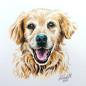Retratos de mascotas en acuarela. Un projet de Dessin de portrait, Aquarelle, Illustration traditionnelle , et Dessin réaliste de Ana Galván - 20.11.2025