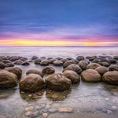 Lily's Flowers. Fine Arts, Drawing, Traditional illustration, Painting, Watercolor Painting, and Botanical Illustration project by jennifer_baron - 11.21.2025