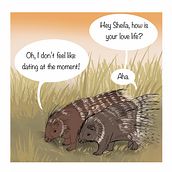 Funny animal comic: porcupines dating . Comic, Ilustrație tradițională, Narrativ, Stor, board, Stor și telling de Andreas Adam - 11.23.2025