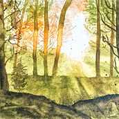 Acuarela de bosque, tonos verdes con reflejo de sol. Un projet de Peinture , et Aquarelle de Angelica Barrera - 24.11.2025