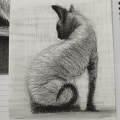 my expressive world with charcoal. Artes plásticas, Desenho, Desenho de retrato e Ilustração naturalista projeto de Gabrielle Lima - 25.11.2025