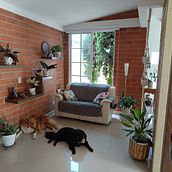 Mi espacio relajante . Dekorasi, DIY, Desain Bunga, Tanaman, Dekorasi Interior, Desain Interior, Arsitektur Lanskap, Dan Desain Spasial proyek oleh Silvia Liliana Florez Trcohez - 11.27.2025