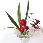 Ikebana project  Ein Projekt aus dem Bereich Dekoration von Innenräumen, Blumen- und Pflanzendesign, Innenarchitektur und Innendesign von Dinara Baron - 28.11.2025