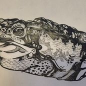 tattoo sapo. Desenho de tatuagens, Ilustração tradicional e Ilustração digital projeto de jubecckz - 29.11.2025