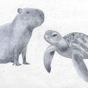 Animal fantástico . Ilustrasi tradisional, Dan Menggambar proyek oleh Tingting Pan - 11.30.2025