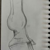 Diferentes partes de animales . Un progetto di Disegno e Disegno a matita di Anna Isabel molina - 01.12.2025