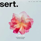 Desert Magazine. Un proyecto de Diseño digital, Diseño de producto digital, UX / UI, Diseño Web y Desarrollo Web de giorgio94 - 01.12.2025