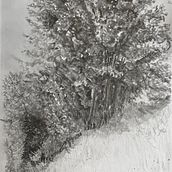 Country Theme. Een project van Sketchbook, Tekening, Tekening met potlood, Schetsen y Kinderillustratie van Wendy McPherson - 02.12.2025