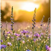 Neceser . Crochê, Design de acessórios, DIY, Pattern Design, Tecido, e Design têxtil projeto de mujicoagustina_1 - 02.12.2025