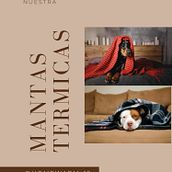 HOMEAWARMPETS . Marketing de conținut, Marketing digital, Facebook Marketing, Marketing de creștere, Instagram Marketing, Marketing, Marketing mobil și Social Media de Diana Valentina Villamizar Morales - 12.04.2025