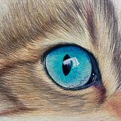 SIMPLE COLLAGE. Collage, and Digital Illustration project by Antonio CGP - 12.05.2025