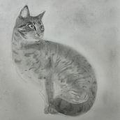 Conclusão do Curso. Drawing, Fine Arts, Portrait Drawing, and Naturalistic Illustration project by rafaeldutragondim - 12.06.2025