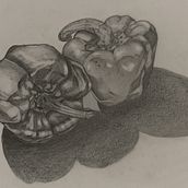 Nature morte. Ilustração tradicional projeto de Erwan Wick - 08.12.2025