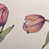 Botanical Sketching. Un progetto di Bozzetti, Disegno, Illustrazione tradizionale, Illustrazione botanica, Pittura ad acquerello e Sketchbook di renataba - 09.12.2025