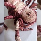 SCORPIO MOON. Een project van Craft, Ontwerp van personages,  Concept art,  Beeldende kunst y Beeldhouwwerk van Alba Beltrán Flaño - 09.12.2025