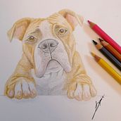 Mi primer dibujo de perrete. Projekt z dziedziny Trad, c, jna ilustracja, Ilustracja naturalist i czna użytkownika Bego Bp - 11.12.2025