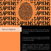 Sapens. Br, ing e Identidade, Design gráfico, Design para redes sociais, e Web Design projeto de oihanalvarez1 - 12.12.2025
