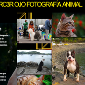 Evolución y organización de un portafolio creativo. Fotografia, Marketing digital, e Comunicação projeto de Tulia Colombia Torres Hurtado - 13.12.2025