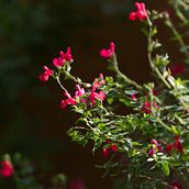 Wonder. Photo Retouching, and Outdoor Photograph project by Hannah Hugo - 12.13.2025