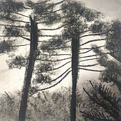 Abbozzo a carboncino. Un proyecto de Dibujo, Sketchbook y Bocetado de mariposaari92 - 15.12.2025