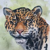 Aquarelas diversas. Pintura em aquarela, e Pintura projeto de Morgana Lorenzato - 20.12.2025