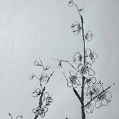 Plum Blossoms Ein Projekt aus dem Bereich Zeichnung, Traditionelle Illustration, Illustration mit Tinte, Bildende Künste und Malerei von Sara Facenda - 21.12.2025