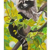 Mapache Incógnito. Un proyecto de Ilustración tradicional, Pintura gouache, Ilustración botánica, Dibujo a lápiz y Dibujo realista de Jessica Menares - 21.12.2025