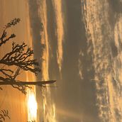 youtube. Ilustração tradicional projeto de genduontop69 - 21.12.2025