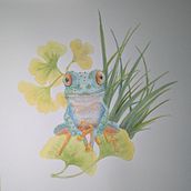 Watercolor Frog Painting. Botanical Illustration, Fine Arts, Naturalistic Illustration, Painting, and Watercolor Painting project by agent_herndon - 12.28.2025