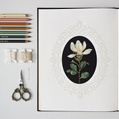 Caiete brodate . Arte și meșteșuguri, Broderie, Ilustrație tradițională, Desen, Desen în creion, Caiet de schițe & Ilustrație botanică de Clara Encinas - 12.29.2025