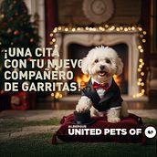 ¡Cita a Ciegas con tu nuevo compañero de vida! Ten el privilegio de tú ser el elegido!. Un proyecto de Consultoría creativa, Marketing, Publicidad y Creatividad de daniela_castillo - 31.12.2025