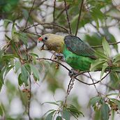 A glimmer of hope. Un projet de Écriture créative, Créativité, Écriture de fiction, Narration, Écriture de non-fiction, Stor, telling , et Écriture de Zaitoon Ebrahim - 31.12.2025