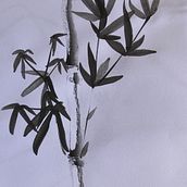 Shinkushi - Four Gentleman . Desen, Ilustrație tradițională, Ilustrație cu cerneală, Arte plastice și Pictura de rhirie - 01.03.2026