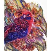 Crimson Rosella Dreaming  Ein Projekt aus dem Bereich Zeichnung, Traditionelle Illustration und Aquarellmalerei von Helen Duley - 03.01.2026