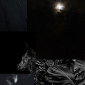 Un Jueves de diciembre. Een project van Schrijven, Verhaallijn, Stor, telling, Fictie schrijven y Creatief schrijven van María Graciela Parra Domínguez - 06.01.2026