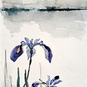 Landscape with irises. Un progetto di Illustrazione botanica, Illustrazione tradizionale, Illustrazione con inchiostro, Belle arti e Pittura di Daniela Dumitru - 06.01.2026
