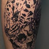 Guerrero jaguar en cráneo . Tattoo Design project by sebas_psra - 01.06.2026