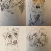 Szkicownik z psami: Najlepsi modele mają cztery łapy. Drawing, Pencil Drawing, Traditional illustration, and Sketchbook project by Ewa Szymczak - 01.06.2026