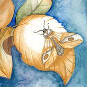 Creyó tocar la luna en una hoja. Drawing, Traditional illustration, Naturalistic Illustration, and Watercolor Painting project by Blanca Herrera - 01.06.2026