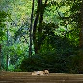 Starting with Photography Ein Projekt aus dem Bereich Fotografie, Erzählung, Schrift, Kreativität, Kreatives Schreiben, Außenfotografie und Dokumentarfotografie von Elsa Alvins - 11.01.2026