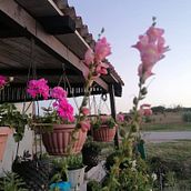 De la groapa de deșeuri de construcții la o casă confortabilă . DIY, Design, Stor, telling, Design interior, Arhitectură și Proiectarea și fabricarea mobilierului de Hanna Lj. Kuštera - 01.14.2026