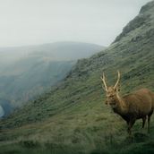 Color Theory in Photography Final Project . % martintejerina tarafından hazırlanan Fotoğrafik Kompozis, on, Fotoğrafçılık, Dijital Fotoğrafçılık, Fotoğraf Rötuşlama, Ve Renk Teorisi projesi - 01.16.2026