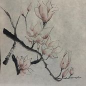 Caco e Magnolia Ein Projekt aus dem Bereich Botanische Illustration, Traditionelle Illustration, Illustration mit Tinte und Bildende Künste von Sara Facenda - 17.01.2026