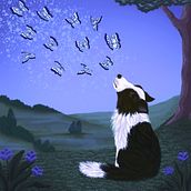 Dreaming dog. Een project van Digitale illustratie van Shannon Carter - 21.01.2026