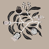 Projekt końcowy, kurs: Professional Illustration Techniques: From Sketches to Vectors. Projekt z dziedziny Ilustracja c i frowa użytkownika Monika Proniewska - 28.01.2026