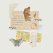 Sometimes one believes they will find the August sun and instead finds the March moon. Collage, and Storytelling project by Mariagrazia Repola - 01.29.2026