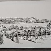 My first sketch. Projekt z dziedziny  R, sunek, Trad, c, jna ilustracja,  R, sunek atramentem, Sketchbook i Sketching użytkownika sandralenore - 30.01.2026