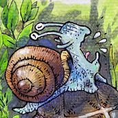 Die Schnecke und die Schildkröte Ein Projekt aus dem Bereich Zeichnung, Bilderbücher und Kinderillustration von Caroline Therrien - 31.01.2026