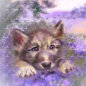Wolf cub in digital painting . Un progetto di Illustrazione digitale, Pittura digitale e Illustrazione tradizionale di Michela Gissi - 04.02.2026
