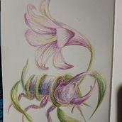 Desafio natural. Drawing, Pencil Drawing, Artistic Drawing, Traditional illustration, Naturalistic Illustration, and Colored Pencil Drawing project by Valentina Gomez - 02.06.2026